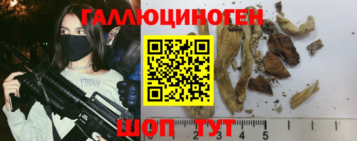 Псилоцибиновые грибы MAGIC MUSHROOMS  Вход с VPN  Керчь 