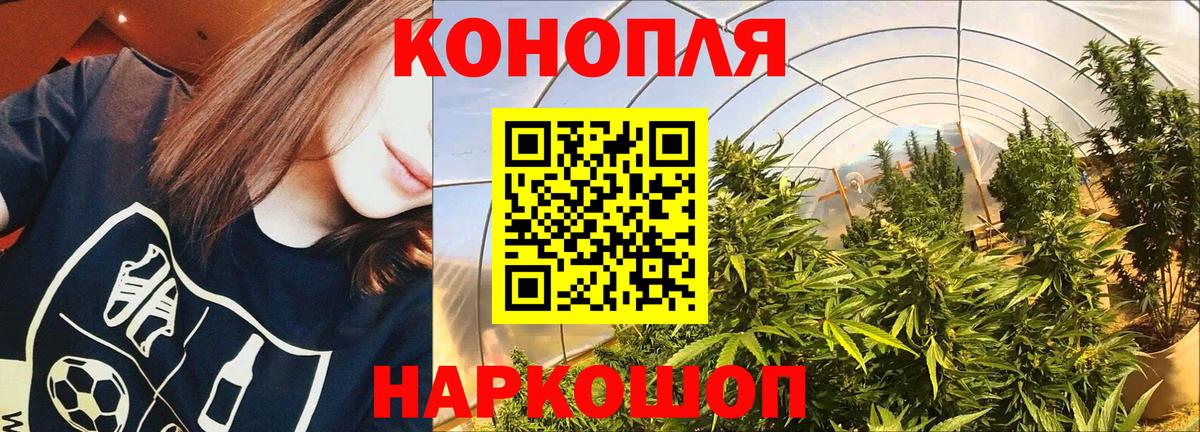 МАРИХУАНА сатива  Вход с VPN  Керчь  Бошки Шишки планчик 